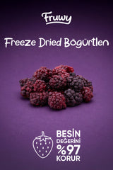 Freeze Dried Böğürtlen Kova (Dondurularak Kurutulmuş Böğürtlen)