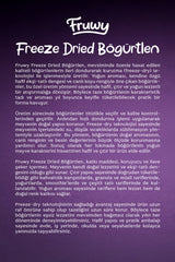 Freeze Dried Böğürtlen Kova (Dondurularak Kurutulmuş Böğürtlen)