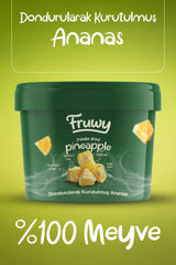 Freeze Dried Ananas Kova (Dondurularak Kurutulmuş Ananas)