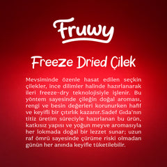 Freeze Dried Dilim Çilek