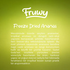 Freeze Dried Ananas