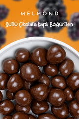 Sütlü Çikolatalı Freeze Dried Böğürtlen Draje