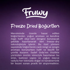 Freeze Dried Böğürtlen