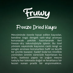 Freeze Dried Kayısı