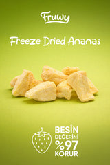 Freeze Dried Ananas Kova (Dondurularak Kurutulmuş Ananas)