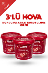 Freeze Dried Çilek 3'lü Paket