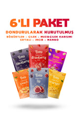 Freeze Dried 6'lı Paket (Çilek, Mago, Böğürtlen, Şeftali, İncir, Muz ve Çilek Karışımı)