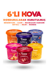 Freeze Dried Kova 6'lı Paket (Çilek, Mango, Böğürtlen, Şeftali, İncir, Muz & Çilek Karışımı)